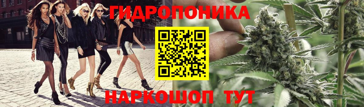 Знаменск  Каннабис конопля  Канабис гибрид  Канабис Ganja  Конопля Bruce Banner  Вход с VPN 